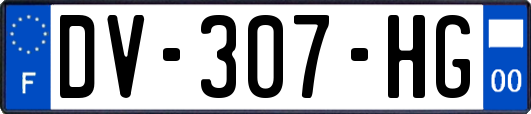 DV-307-HG