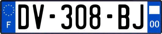 DV-308-BJ