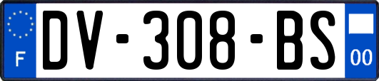 DV-308-BS