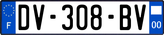 DV-308-BV