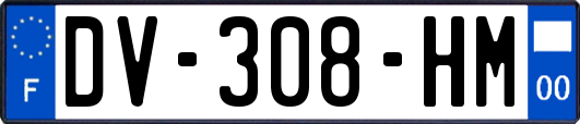 DV-308-HM