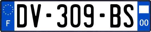 DV-309-BS