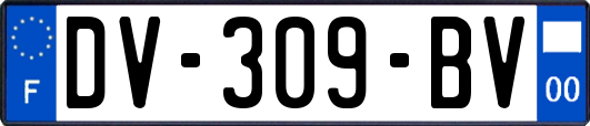 DV-309-BV