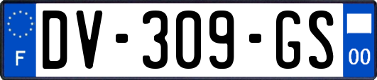 DV-309-GS
