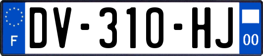 DV-310-HJ