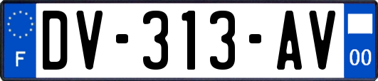 DV-313-AV