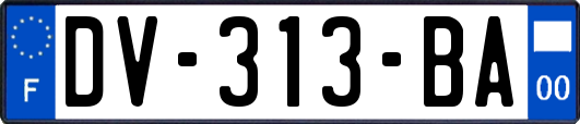 DV-313-BA