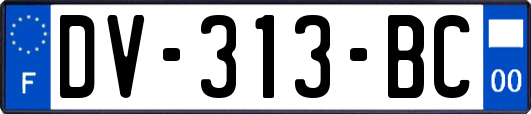 DV-313-BC