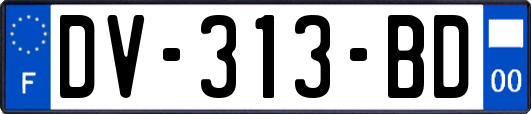 DV-313-BD