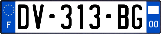 DV-313-BG