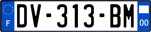 DV-313-BM