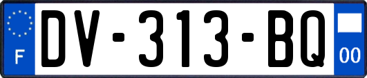 DV-313-BQ