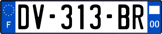 DV-313-BR