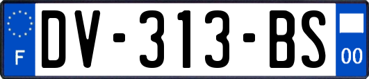 DV-313-BS