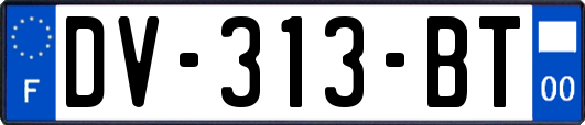 DV-313-BT