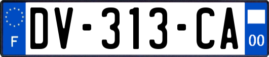 DV-313-CA