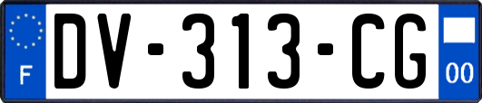 DV-313-CG