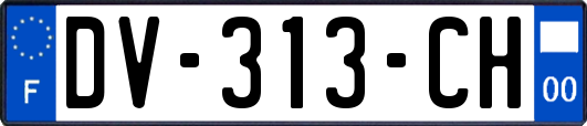 DV-313-CH