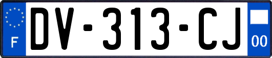 DV-313-CJ