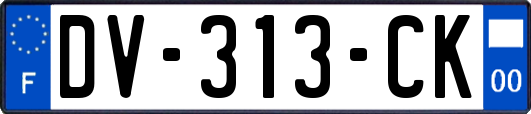 DV-313-CK