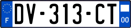 DV-313-CT