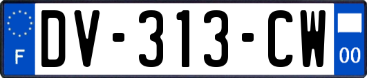 DV-313-CW