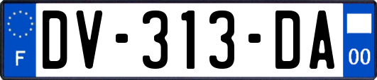 DV-313-DA