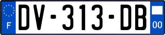 DV-313-DB