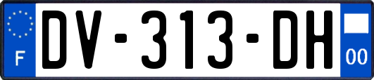 DV-313-DH