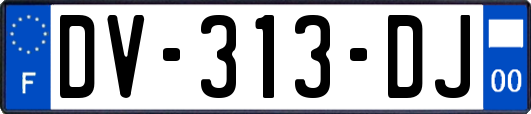 DV-313-DJ