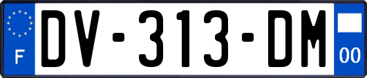 DV-313-DM