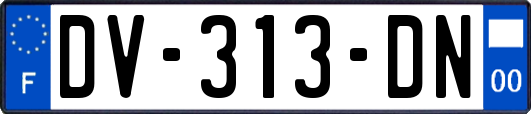 DV-313-DN