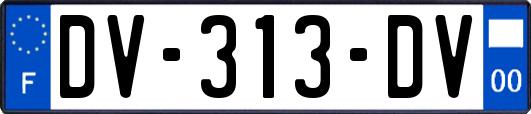 DV-313-DV