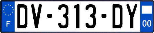 DV-313-DY