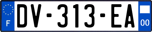 DV-313-EA