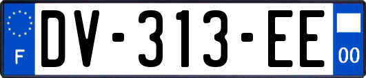 DV-313-EE