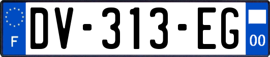 DV-313-EG