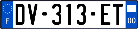 DV-313-ET