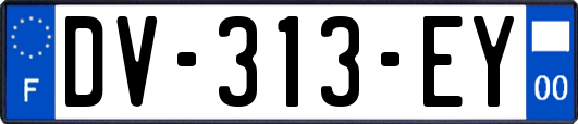 DV-313-EY