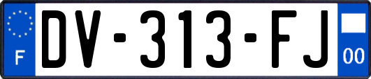 DV-313-FJ