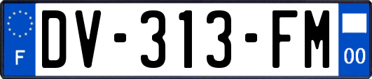 DV-313-FM