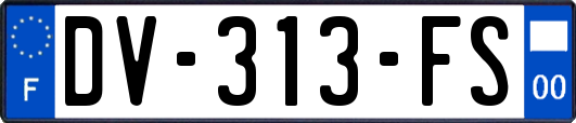 DV-313-FS