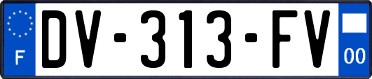 DV-313-FV