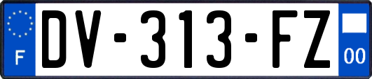 DV-313-FZ