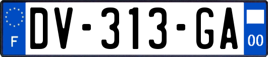 DV-313-GA