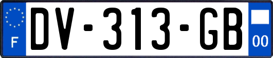 DV-313-GB