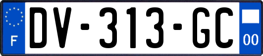 DV-313-GC