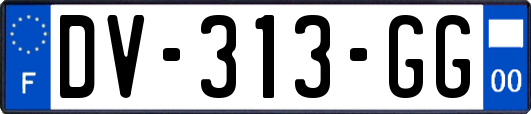 DV-313-GG