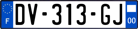 DV-313-GJ