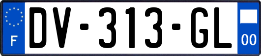DV-313-GL